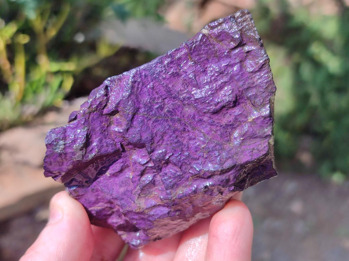 Natural Metallic Cobbed Purpurite Specimens x 12 From Erongo, Namibia