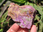 Natural Cobbed Stichtite Specimens x 12 From Barberton, South Africa