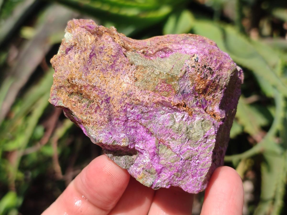 Natural Cobbed Stichtite Specimens x 12 From Barberton, South Africa