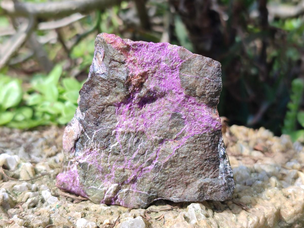 Natural Cobbed Stichtite Specimens x 12 From Barberton, South Africa