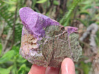 Natural Cobbed Stichtite Specimens x 12 From Barberton, South Africa
