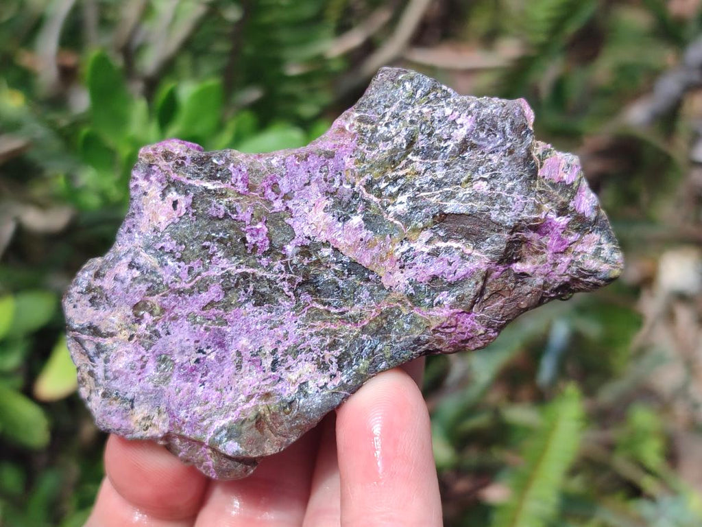 Natural Cobbed Stichtite Specimens x 12 From Barberton, South Africa
