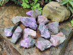 Natural Cobbed Stichtite Specimens x 12 From Barberton, South Africa