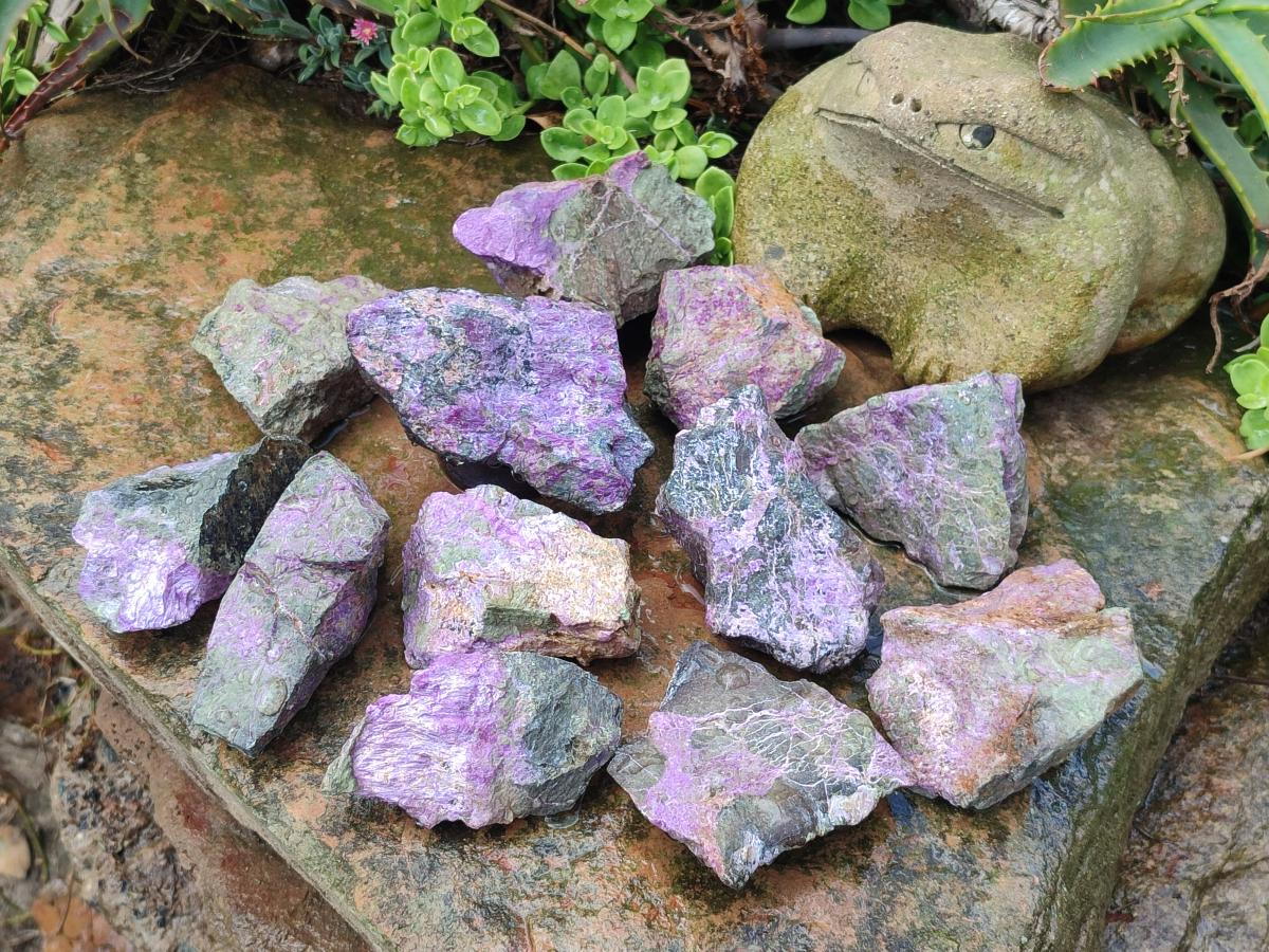 Natural Cobbed Stichtite Specimens x 12 From Barberton, South Africa