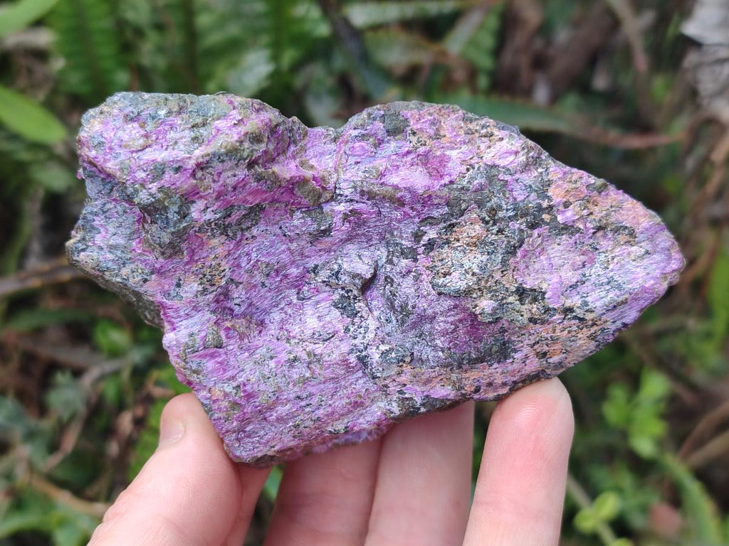 Natural Cobbed Stichtite Specimens x 12 From Barberton, South Africa