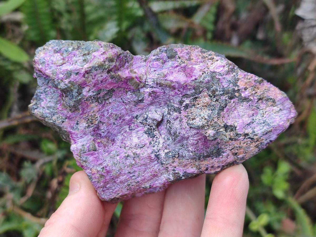 Natural Cobbed Stichtite Specimens x 12 From Barberton, South Africa