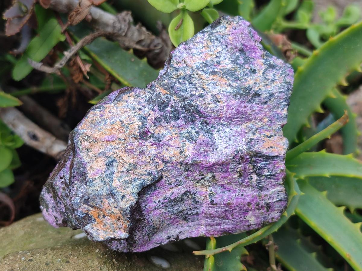 Natural Cobbed Stichtite Specimens x 12 From Barberton, South Africa