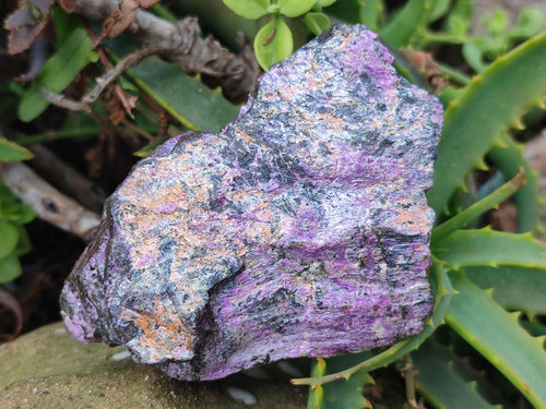 Natural Cobbed Stichtite Specimens x 12 From Barberton, South Africa