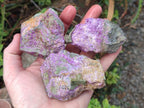Natural Cobbed Stichtite Specimens x 12 From Barberton, South Africa