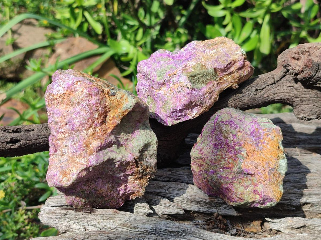 Natural Cobbed Stichtite Specimens x 12 From Barberton, South Africa