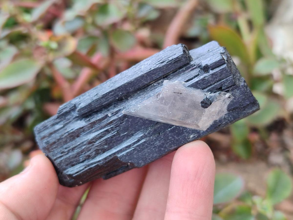 Natural Schorl Black Tourmaline Crystal Specimens with Associated Minerals x 13 From Erongo, Namibia