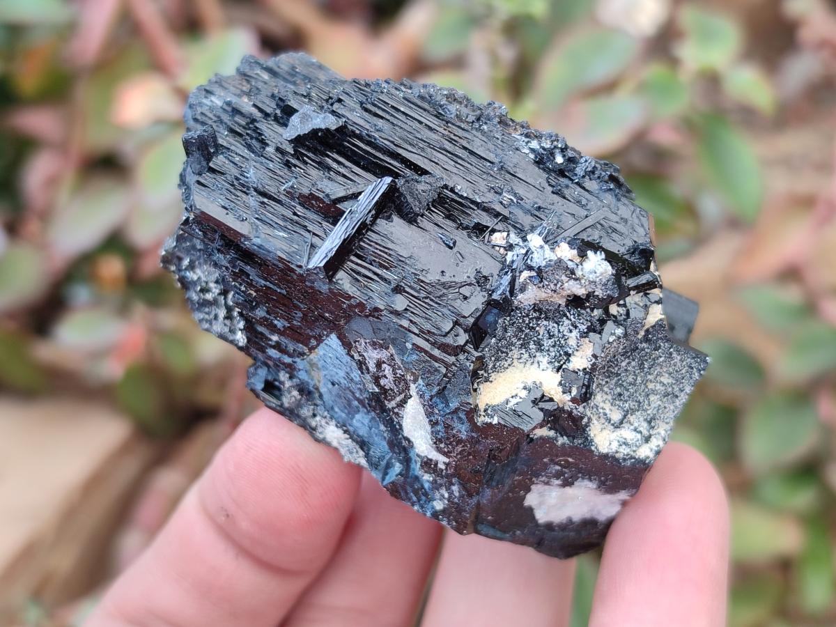 Natural Schorl Black Tourmaline Crystal Specimens with Associated Minerals x 13 From Erongo, Namibia