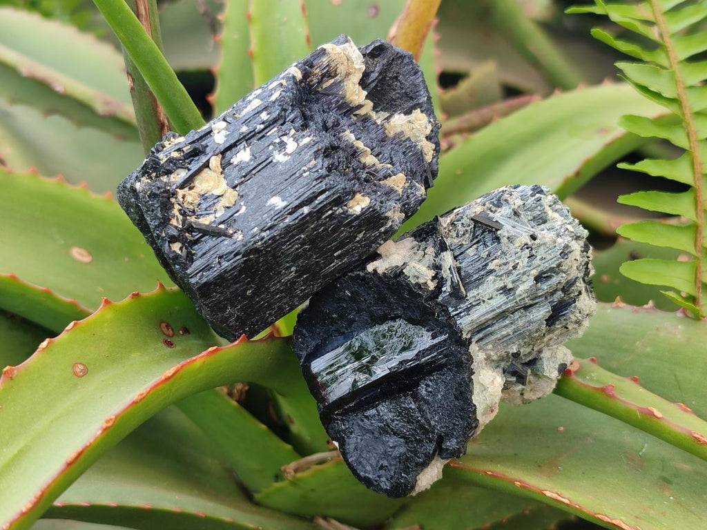 Natural Schorl Black Tourmaline Crystal Specimens with Associated Minerals x 13 From Erongo, Namibia