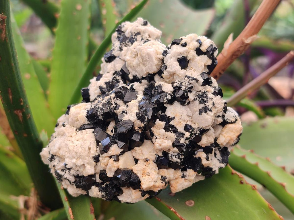 Natural Schorl Black Tourmaline Crystal Specimens with Associated Minerals x 13 From Erongo, Namibia