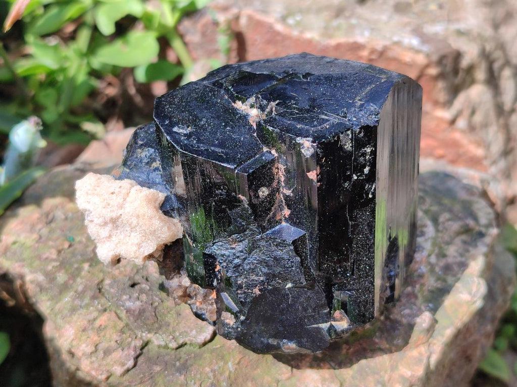Natural Schorl Black Tourmaline Crystal Specimens with Associated Minerals x 13 From Erongo, Namibia
