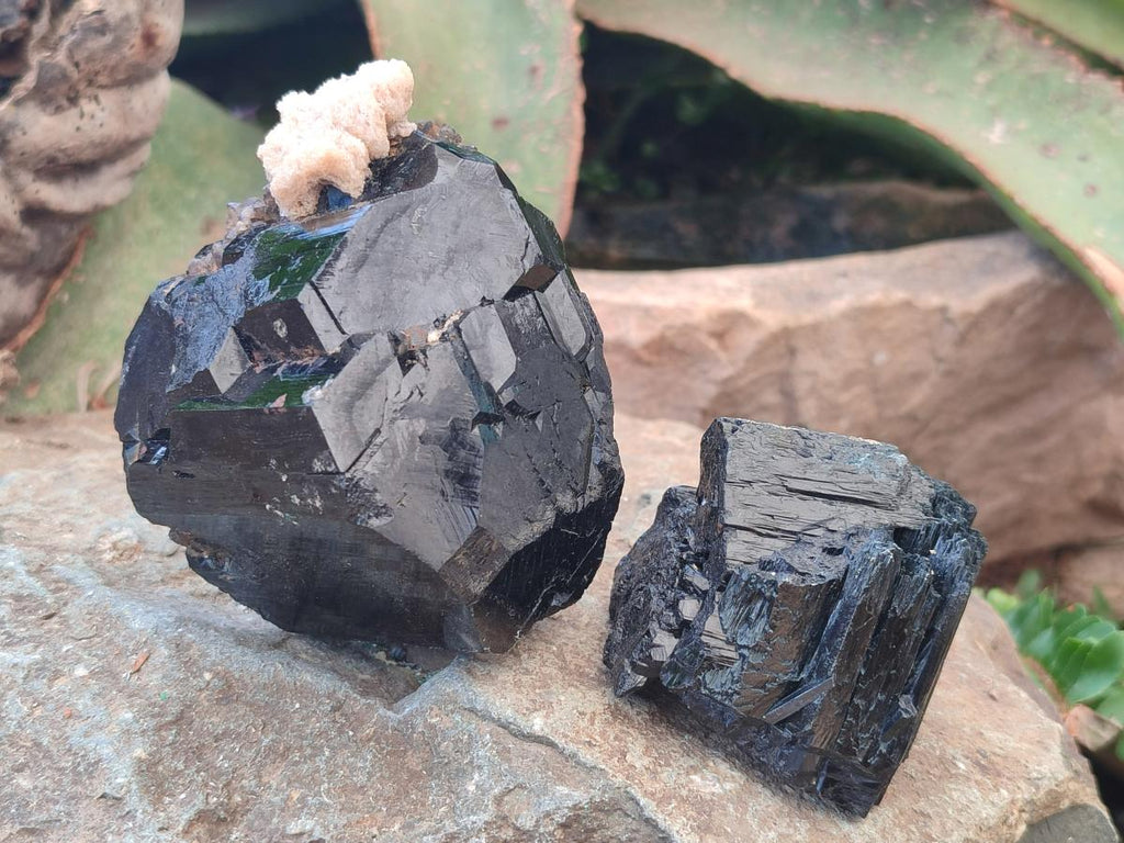Natural Schorl Black Tourmaline Crystal Specimens with Associated Minerals x 13 From Erongo, Namibia