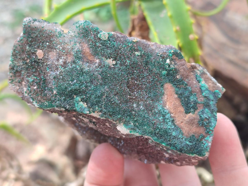 Natural Hemimorphite Specimens with Malachite on Dolomite Matrix x 4 From Lupoto Mine, Congo
