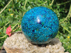 Hand Made Conglomerate Chrysocolla Spheres with Azurite and Malachite x 2 From Congo