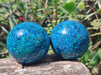 Hand Made Conglomerate Chrysocolla Spheres with Azurite and Malachite x 2 From Congo