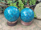 Hand Made Conglomerate Chrysocolla Spheres with Azurite and Malachite x 2 From Congo