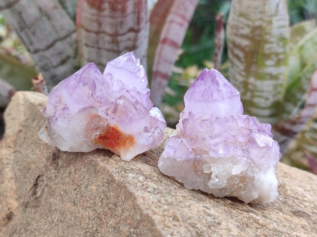 Natural Spirit Amethyst Clusters x 12 From Boekenhouthoek, South Africa