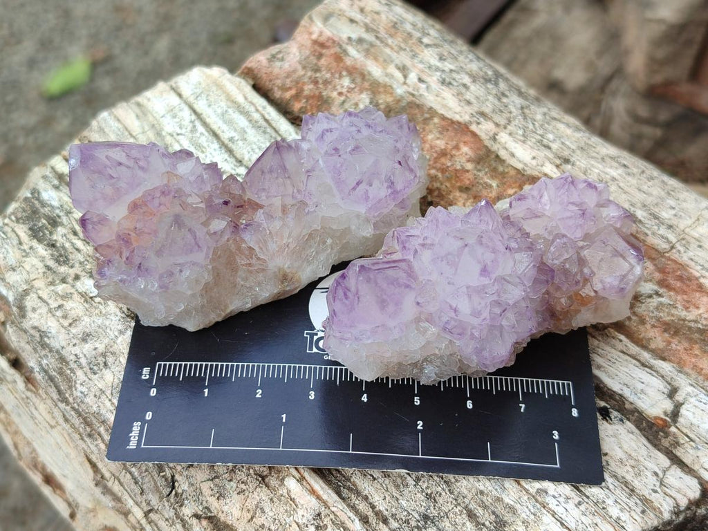 Natural Spirit Amethyst Clusters x 12 From Boekenhouthoek, South Africa