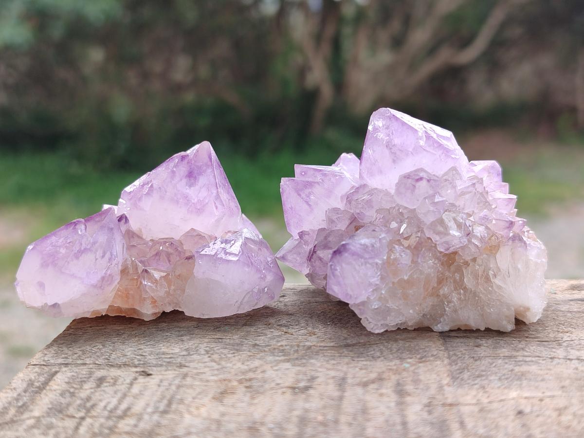 Natural Spirit Amethyst Clusters x 12 From Boekenhouthoek, South Africa