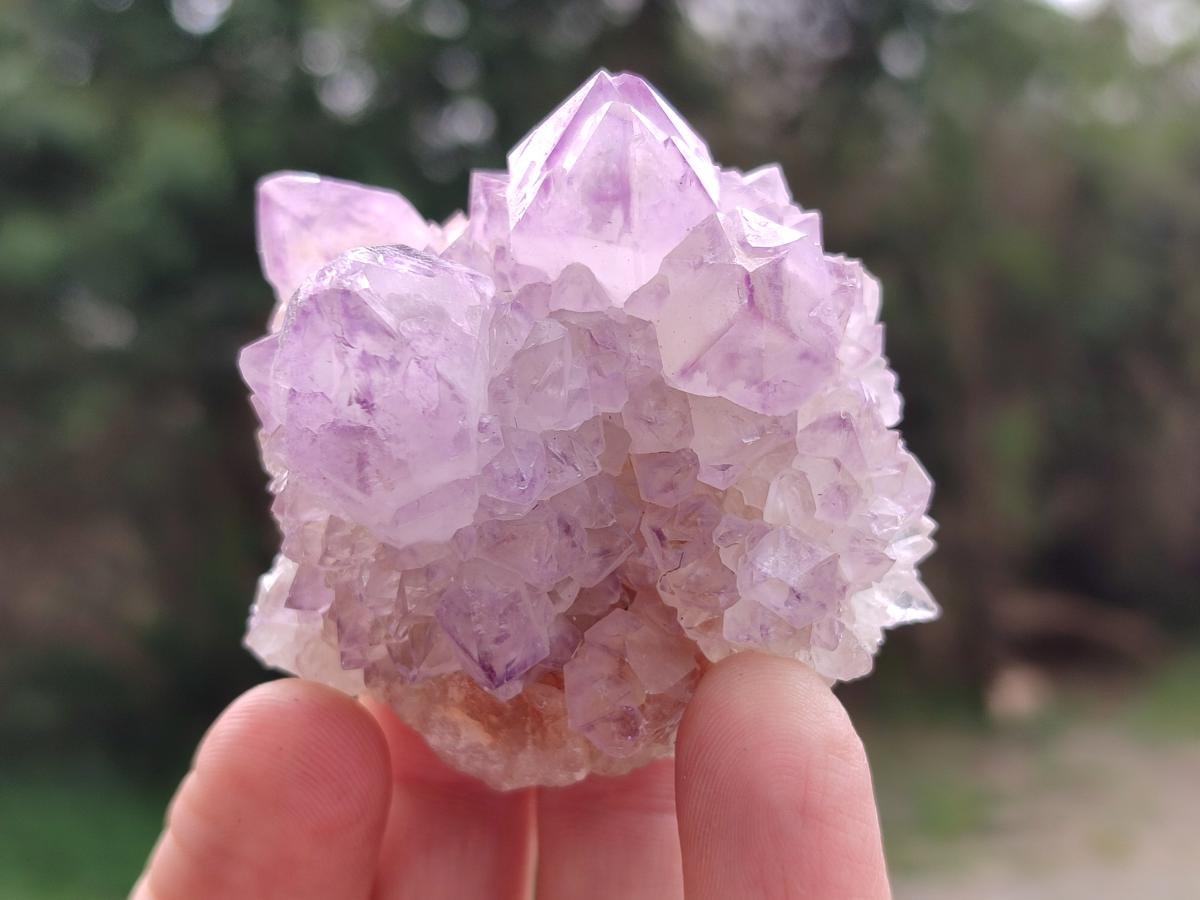Natural Spirit Amethyst Clusters x 12 From Boekenhouthoek, South Africa