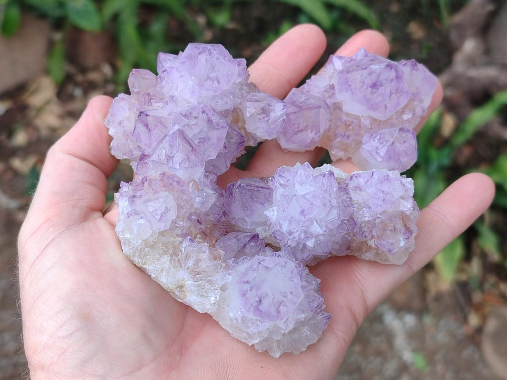 Natural Spirit Amethyst Clusters x 12 From Boekenhouthoek, South Africa