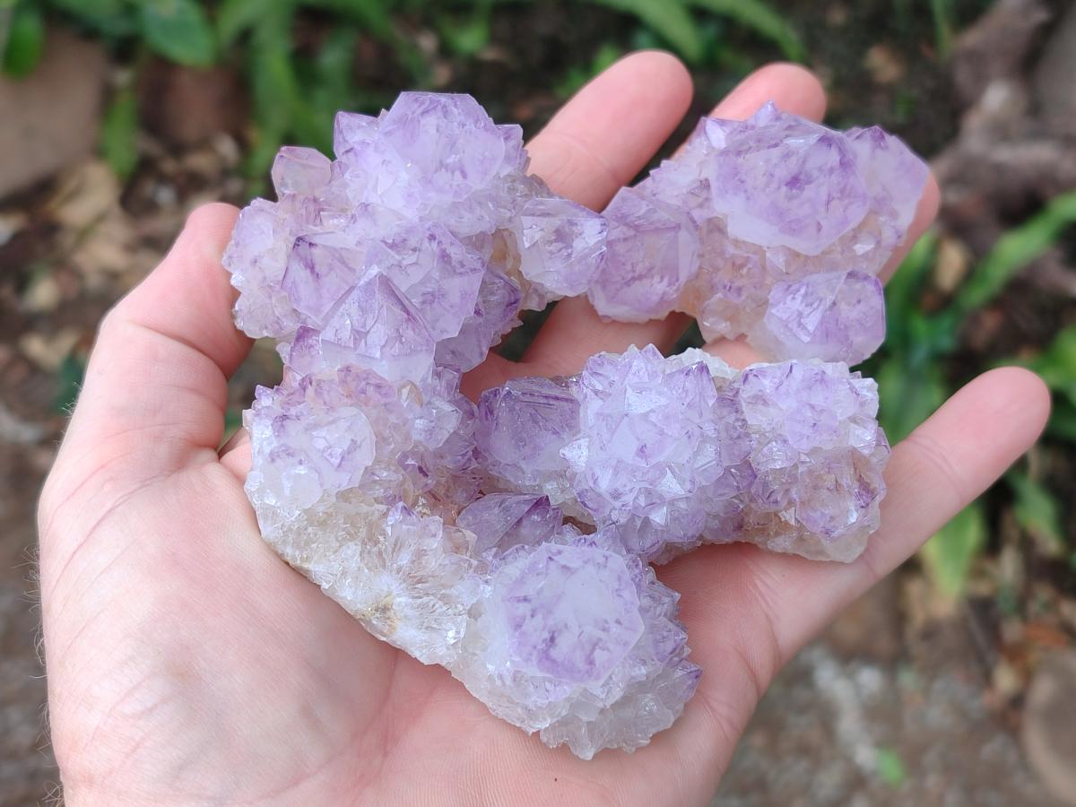Natural Spirit Amethyst Clusters x 12 From Boekenhouthoek, South Africa