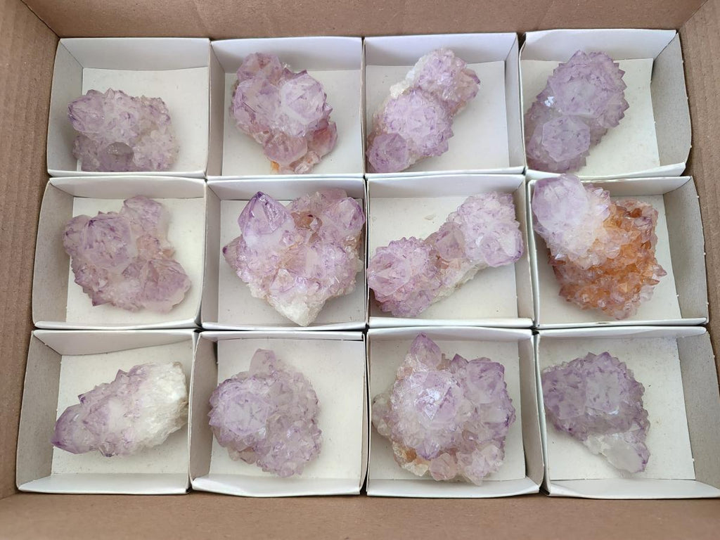 Natural Spirit Amethyst Clusters x 12 From Boekenhouthoek, South Africa