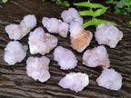 Natural Spirit Amethyst Clusters x 12 From Boekenhouthoek, South Africa