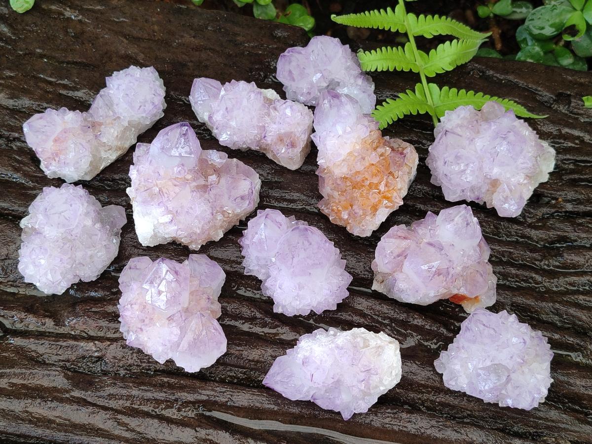 Natural Spirit Amethyst Clusters x 12 From Boekenhouthoek, South Africa