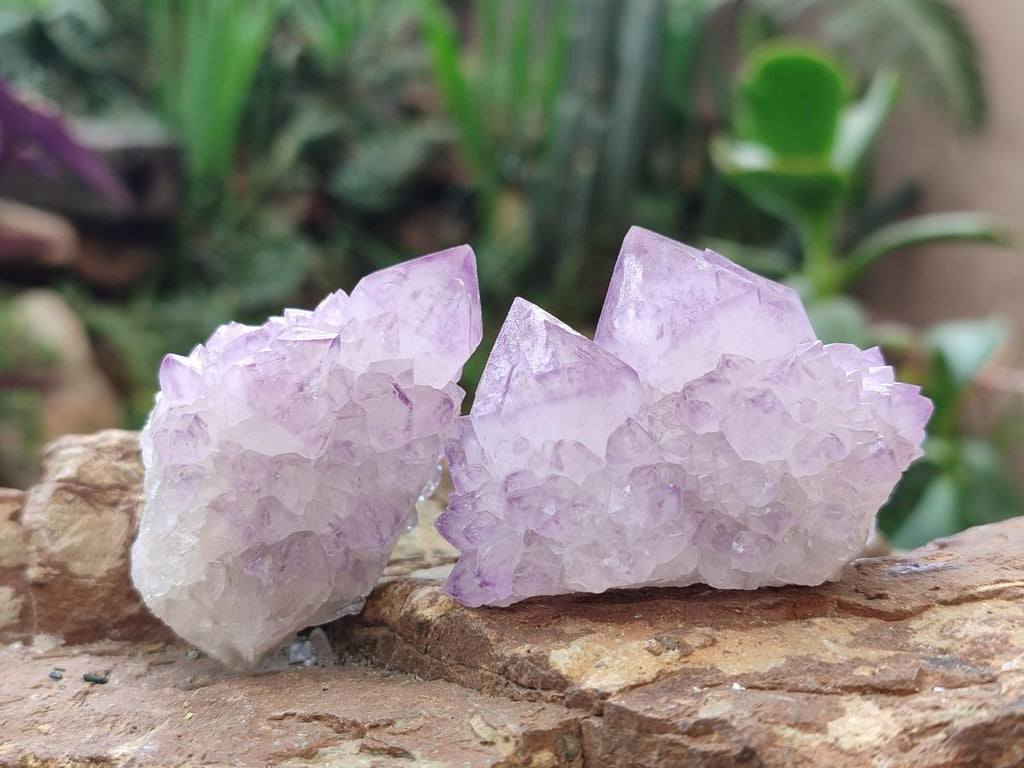 Natural Spirit Amethyst Clusters x 12 From Boekenhouthoek, South Africa