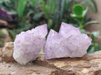 Natural Spirit Amethyst Clusters x 12 From Boekenhouthoek, South Africa