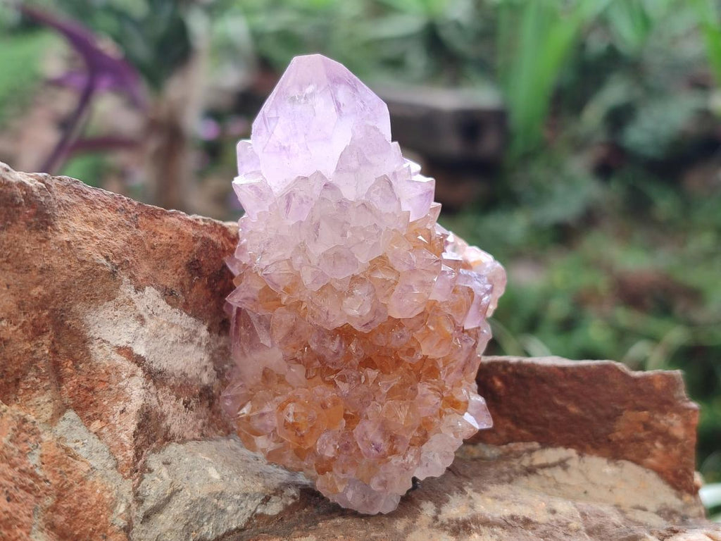 Natural Spirit Amethyst Clusters x 12 From Boekenhouthoek, South Africa