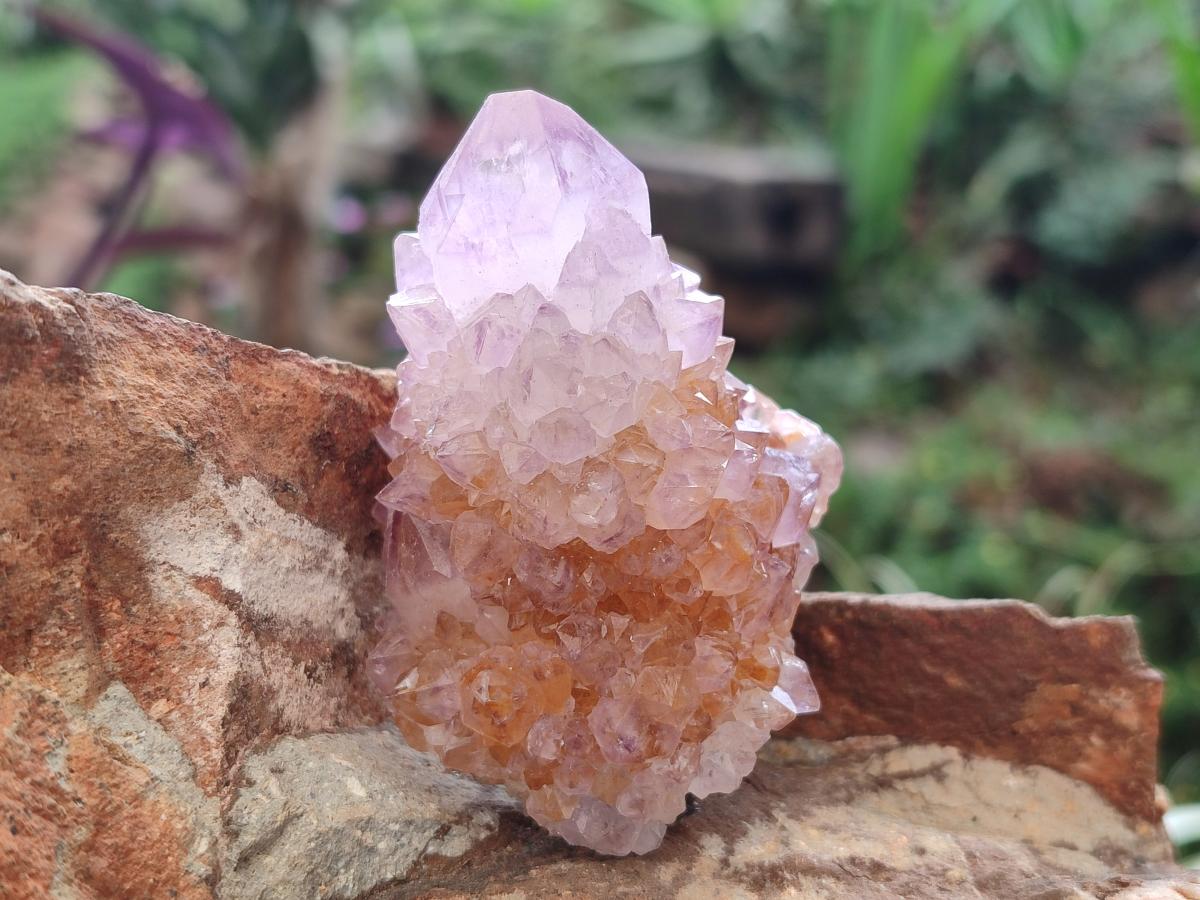 Natural Spirit Amethyst Clusters x 12 From Boekenhouthoek, South Africa