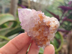 Natural Spirit Amethyst Clusters x 12 From Boekenhouthoek, South Africa