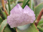 Natural Spirit Amethyst Clusters x 12 From Boekenhouthoek, South Africa