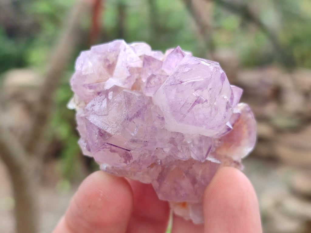 Natural Spirit Amethyst Clusters x 12 From Boekenhouthoek, South Africa
