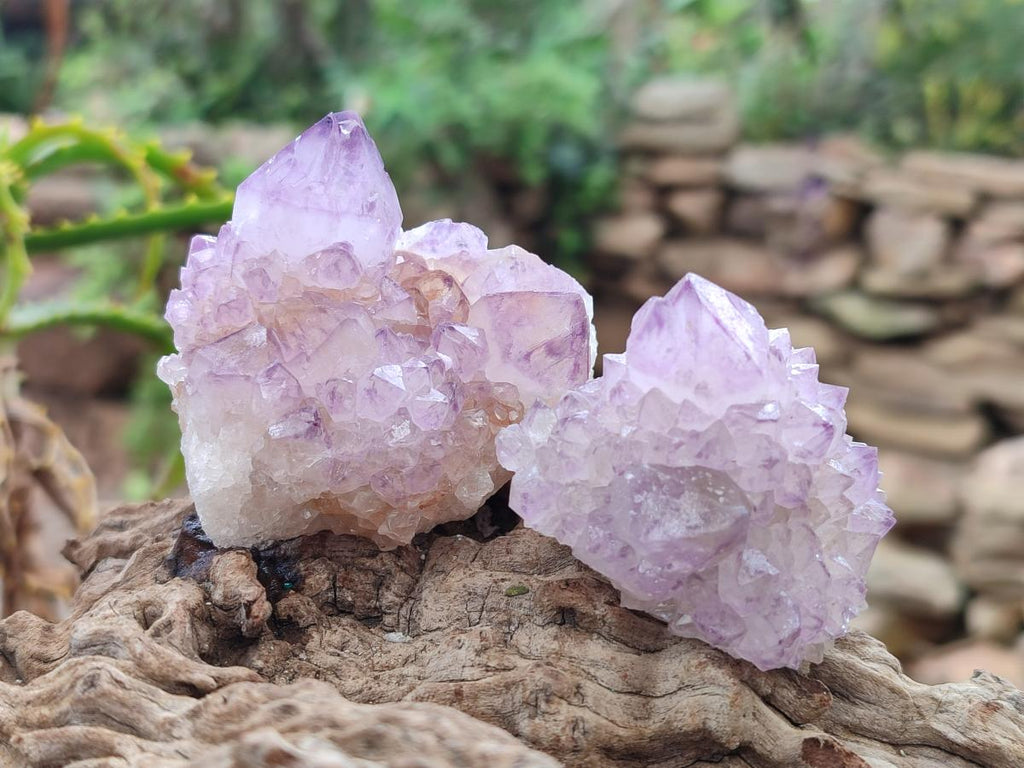 Natural Spirit Amethyst Clusters x 12 From Boekenhouthoek, South Africa