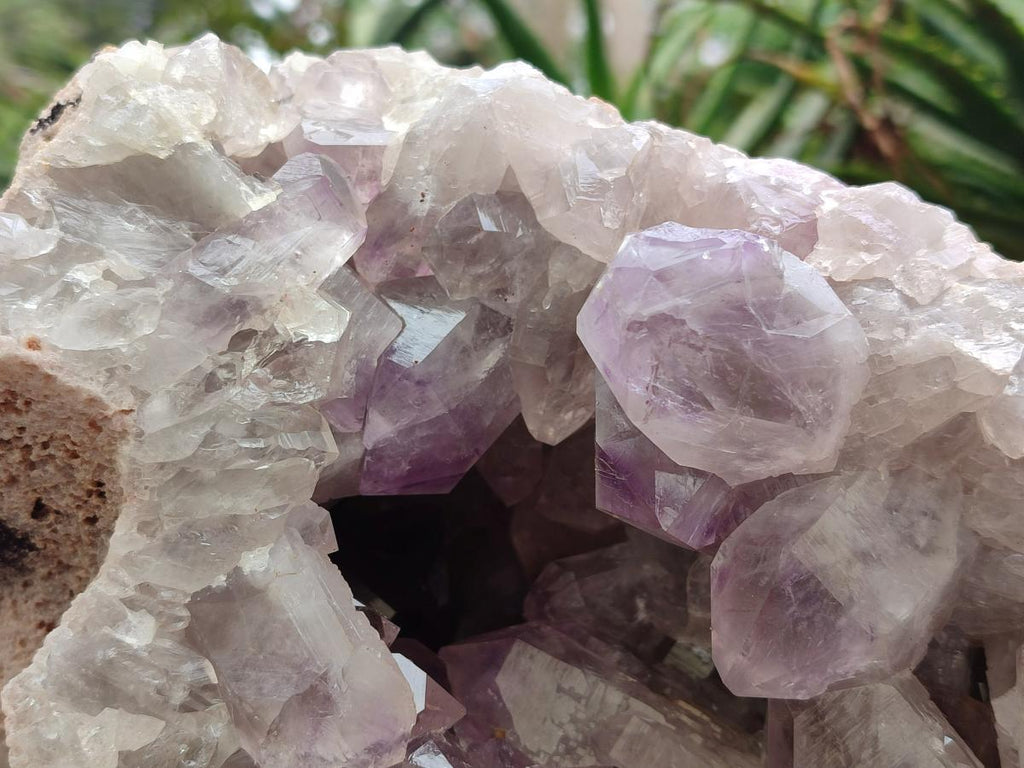 Natural XL Jacaranda Amethyst Cluster x 1 From Mumbwa, Zambia