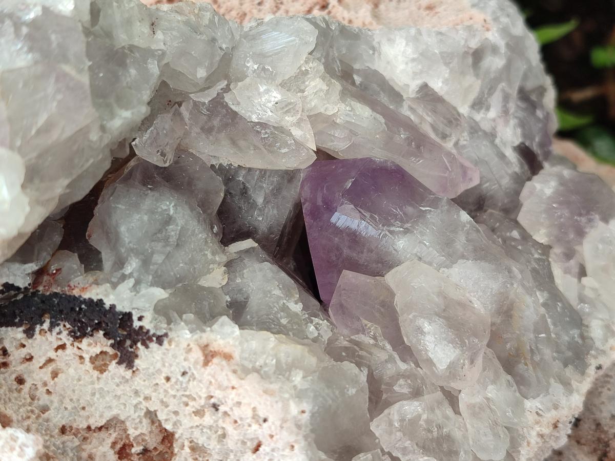 Natural XL Jacaranda Amethyst Cluster x 1 From Mumbwa, Zambia