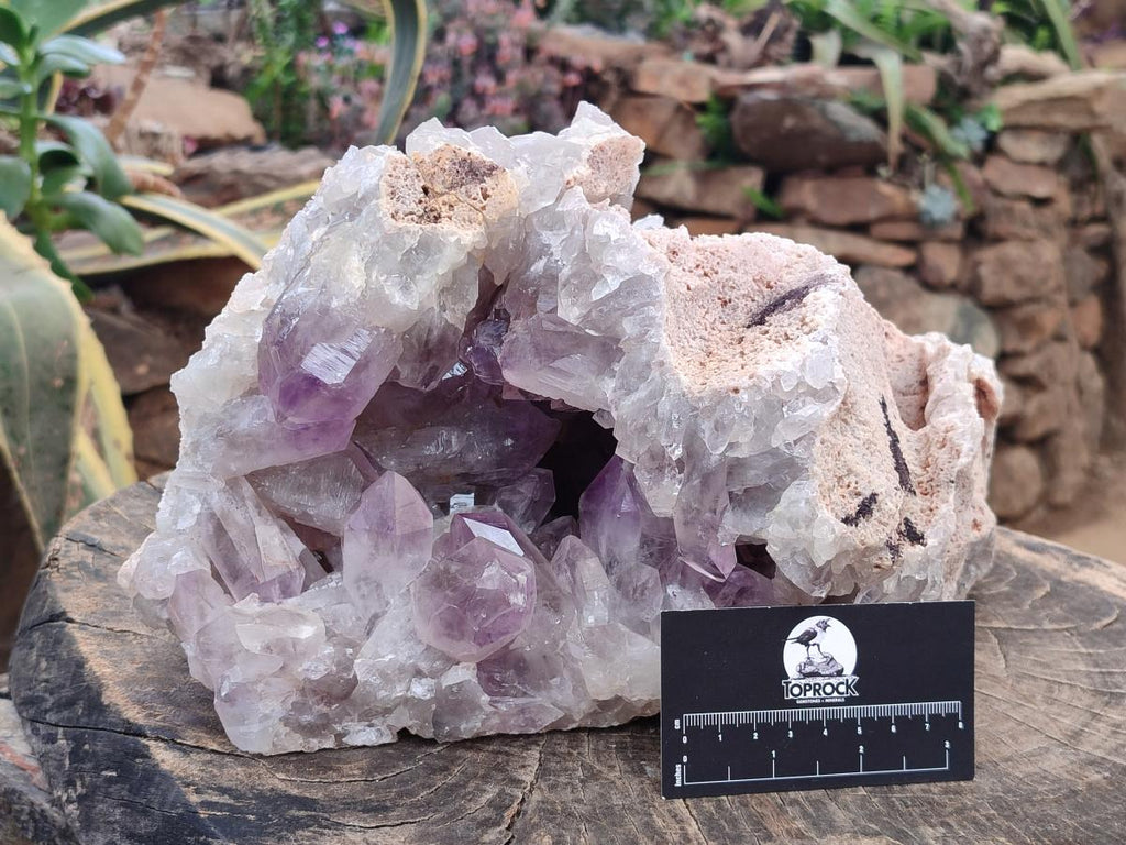 Natural XL Jacaranda Amethyst Cluster x 1 From Mumbwa, Zambia
