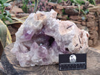 Natural XL Jacaranda Amethyst Cluster x 1 From Mumbwa, Zambia