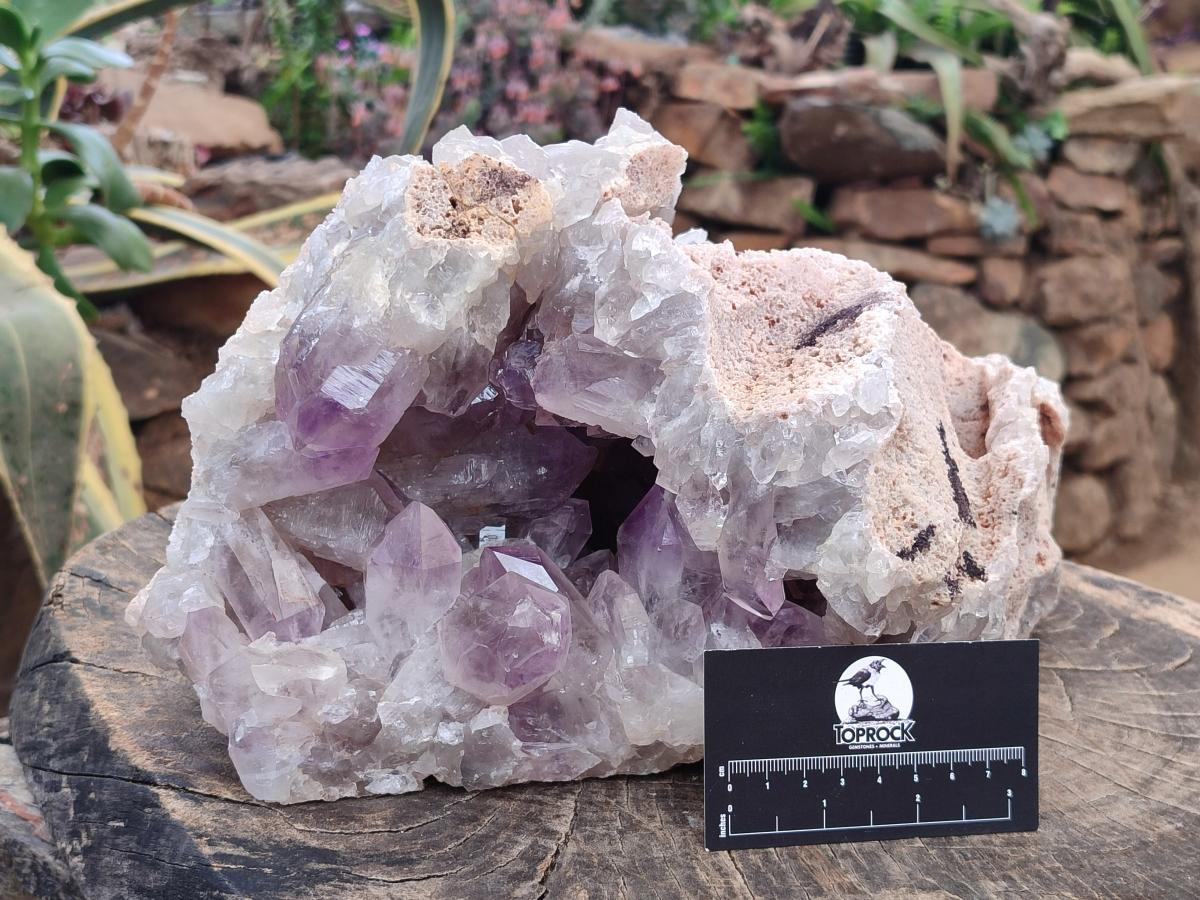 Natural XL Jacaranda Amethyst Cluster x 1 From Mumbwa, Zambia