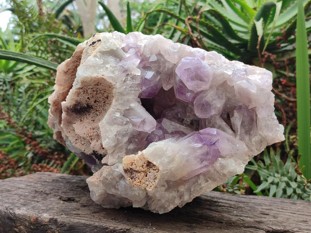 Natural XL Jacaranda Amethyst Cluster x 1 From Mumbwa, Zambia