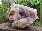 Natural XL Jacaranda Amethyst Cluster x 1 From Mumbwa, Zambia