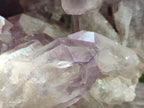 Natural XL Jacaranda Amethyst Cluster x 1 From Mumbwa, Zambia