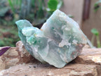 Natural Swazi Jade Cobbed Specimens x 15 From Swaziland